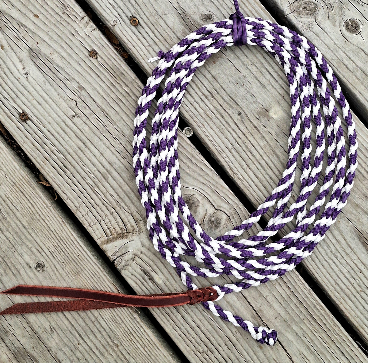 Purple/White 16ft Get down