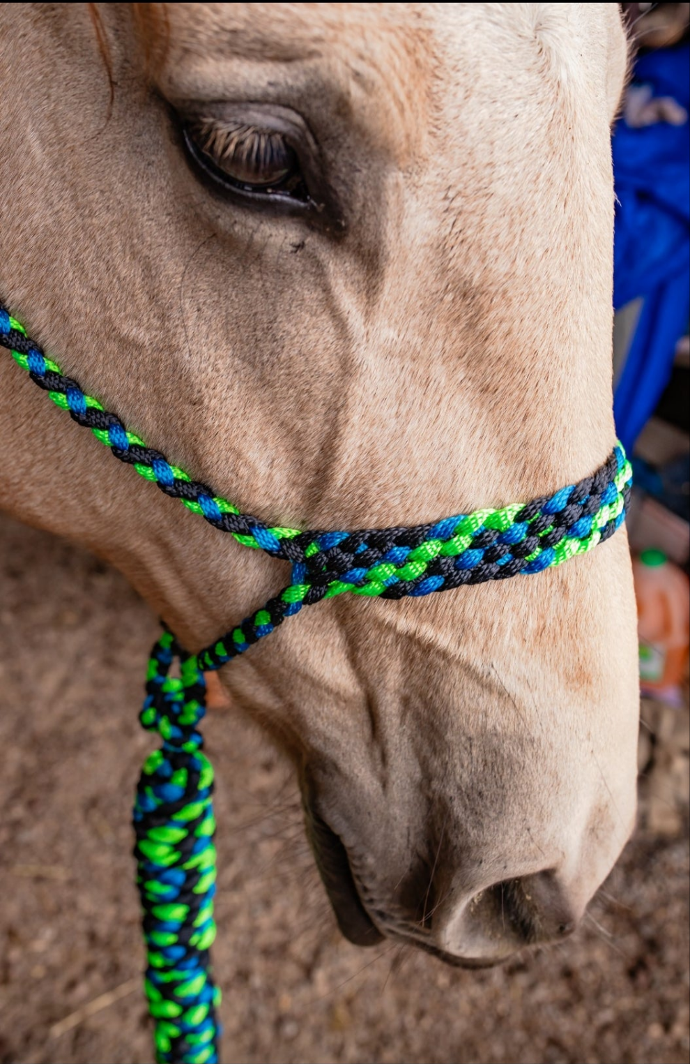 Muletape Halter