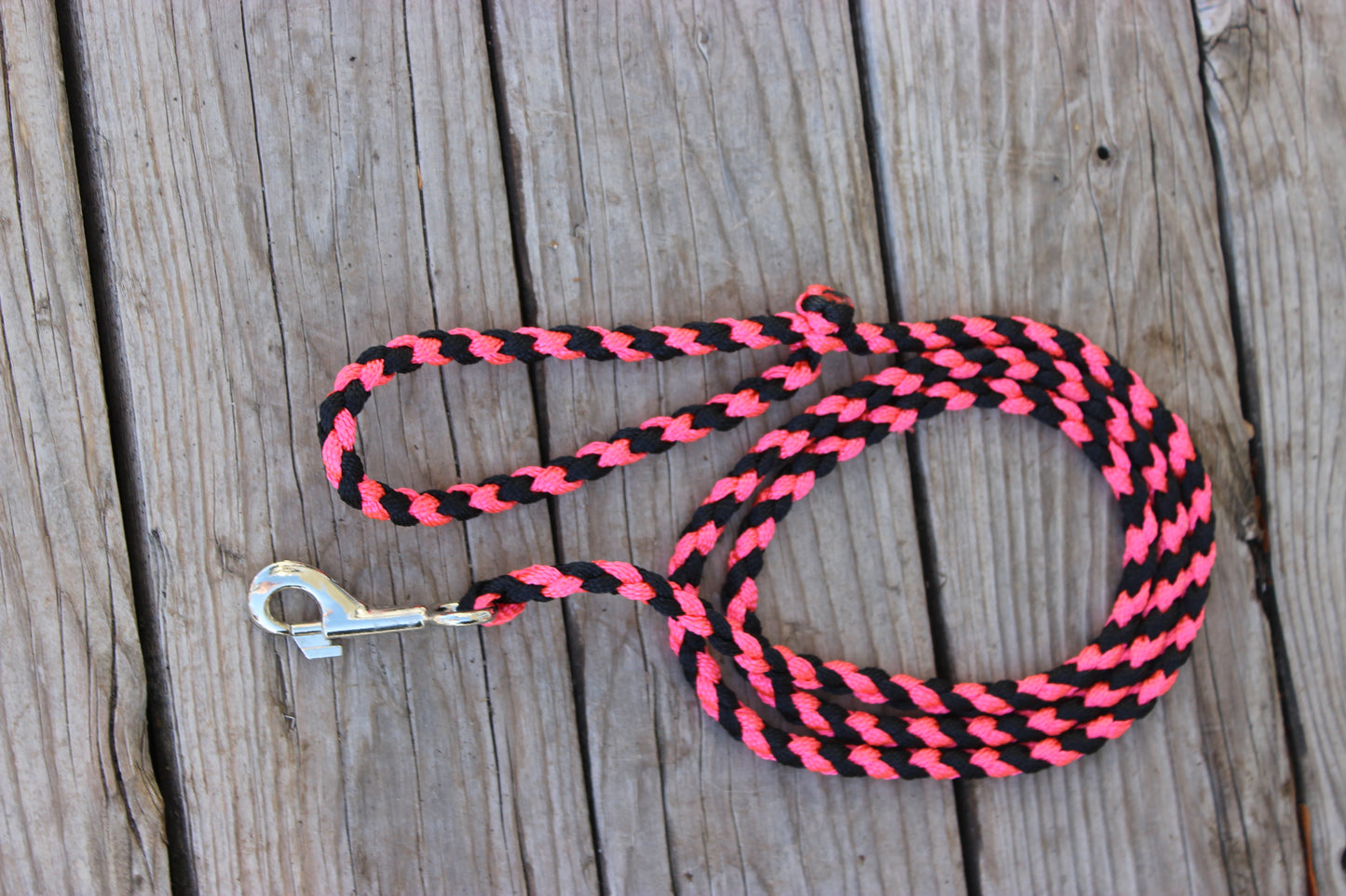 Dog Leash