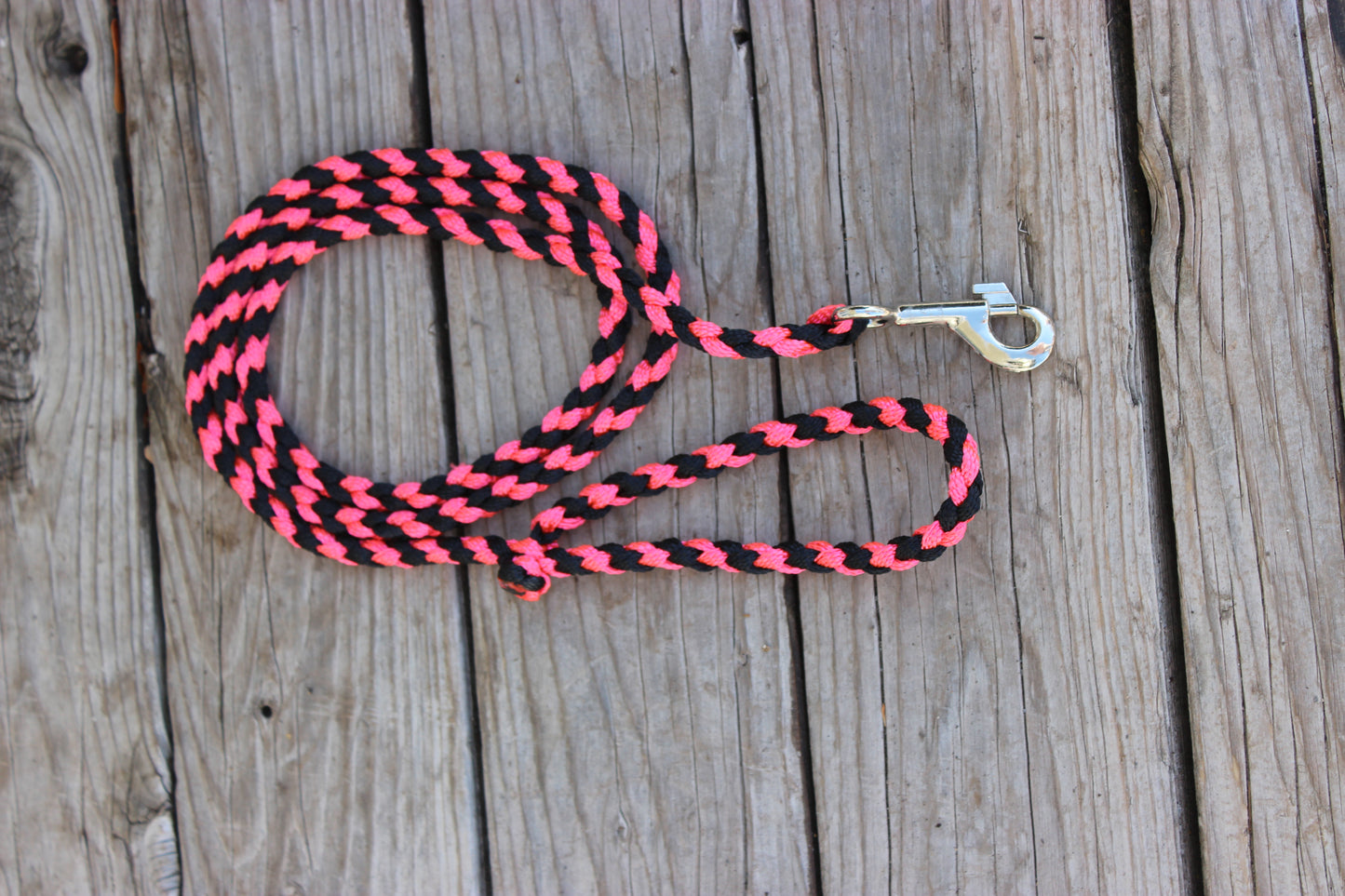 Dog Leash