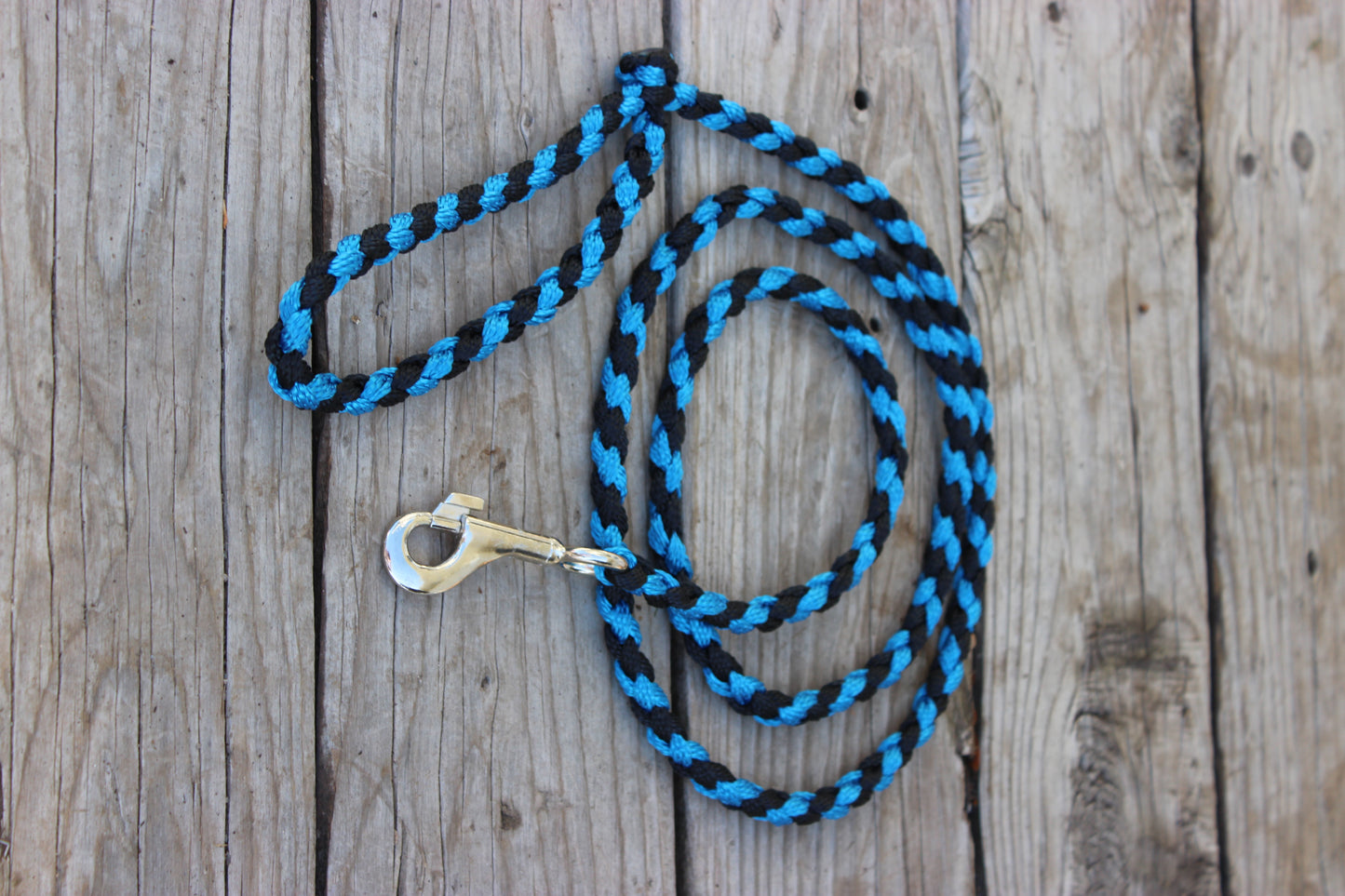 Dog Leash