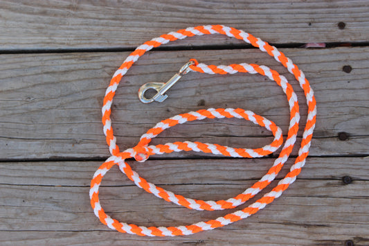 Dog Leash