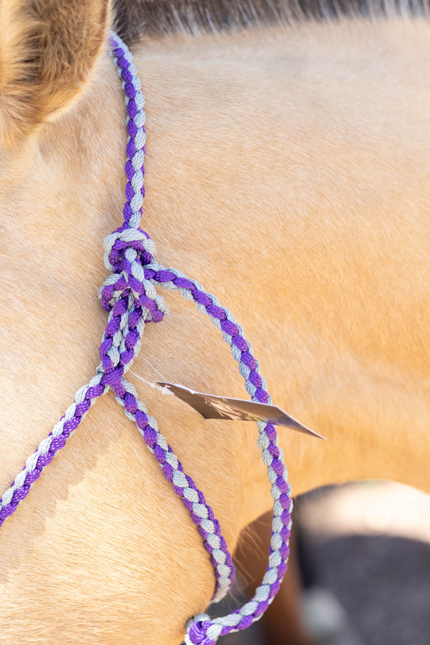 Lariat Noseband Halter