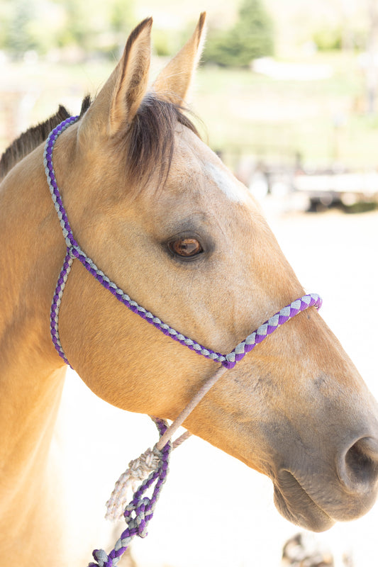 Lariat Noseband Halter