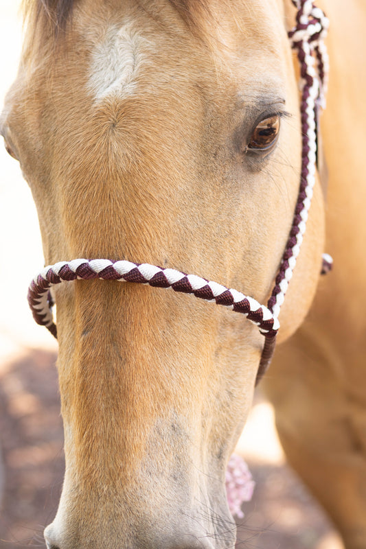 Lariat Noseband Halter