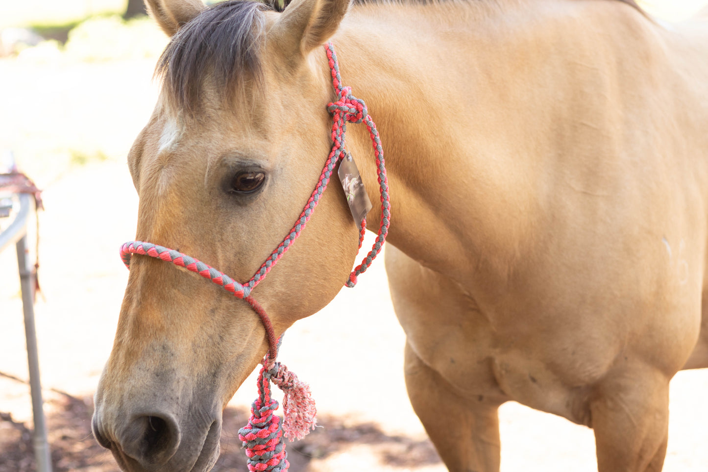 Lariat Noseband Halter