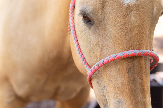 Lariat Noseband Halter