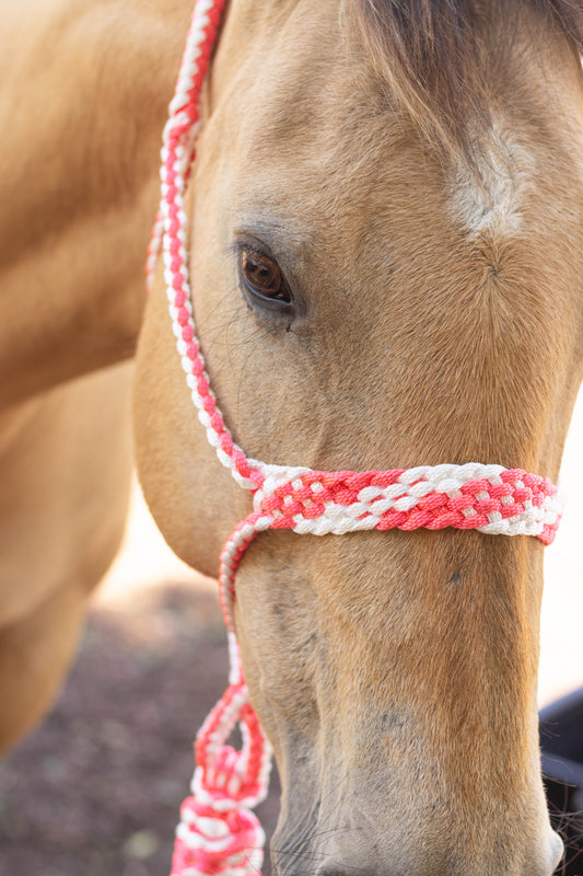 Muletape Halter