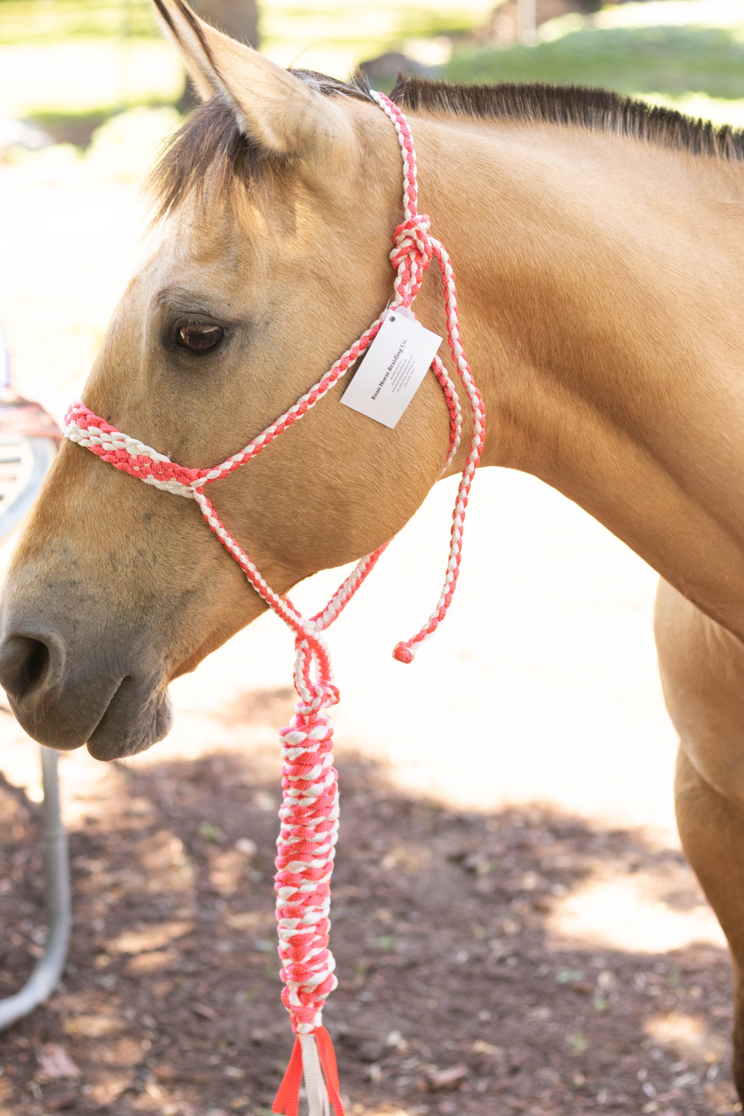 Muletape Halter