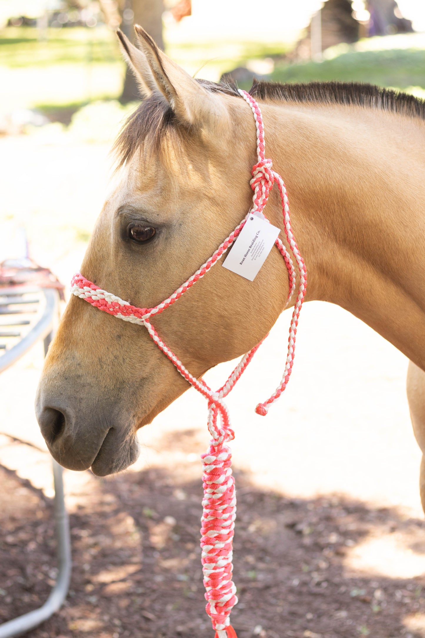 Muletape Halter