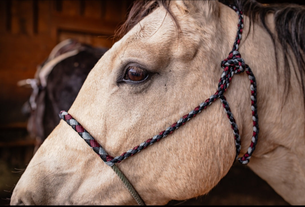 Larait Noseband Halter