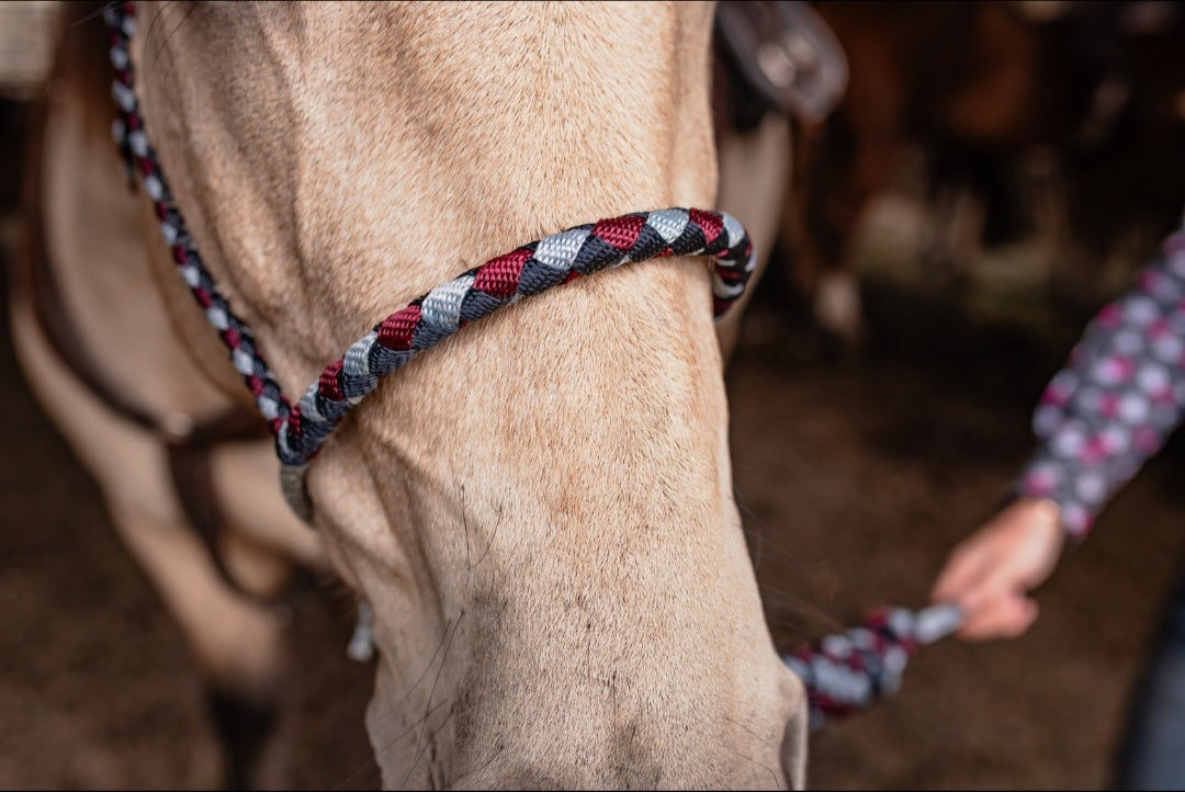 Larait Noseband Halter