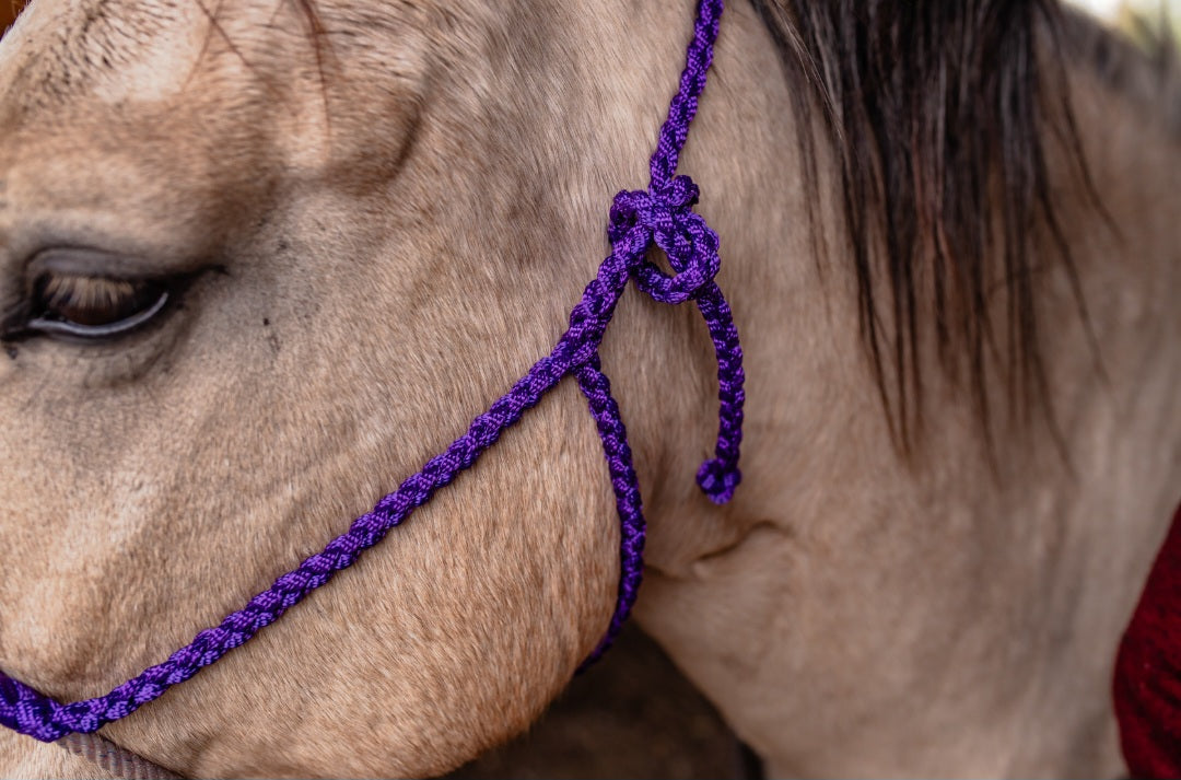 Lariat Noseband Halter