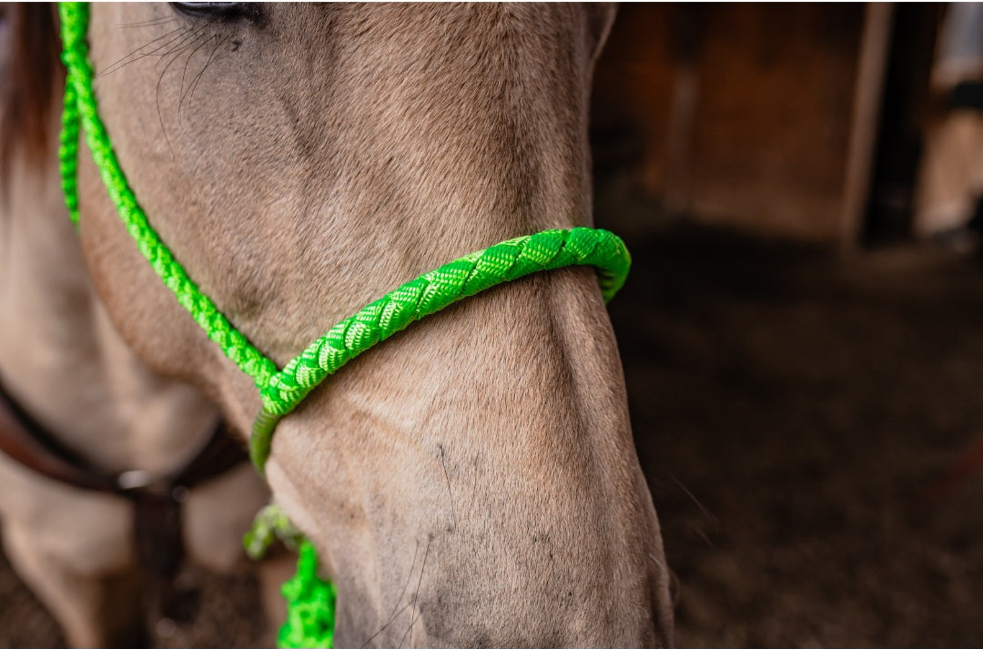 Lariat Noseband Halter