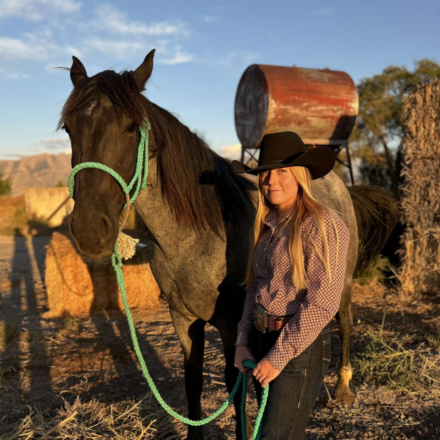 Custom Lariat Noseband Halter