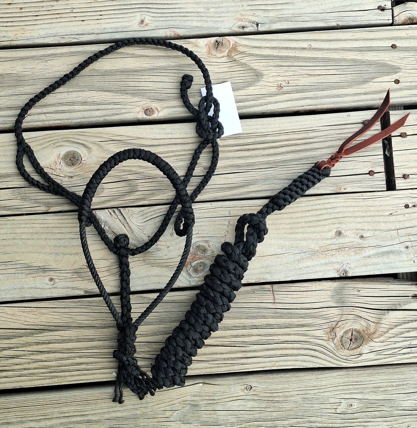 Blackout Lariat Muletape Halter