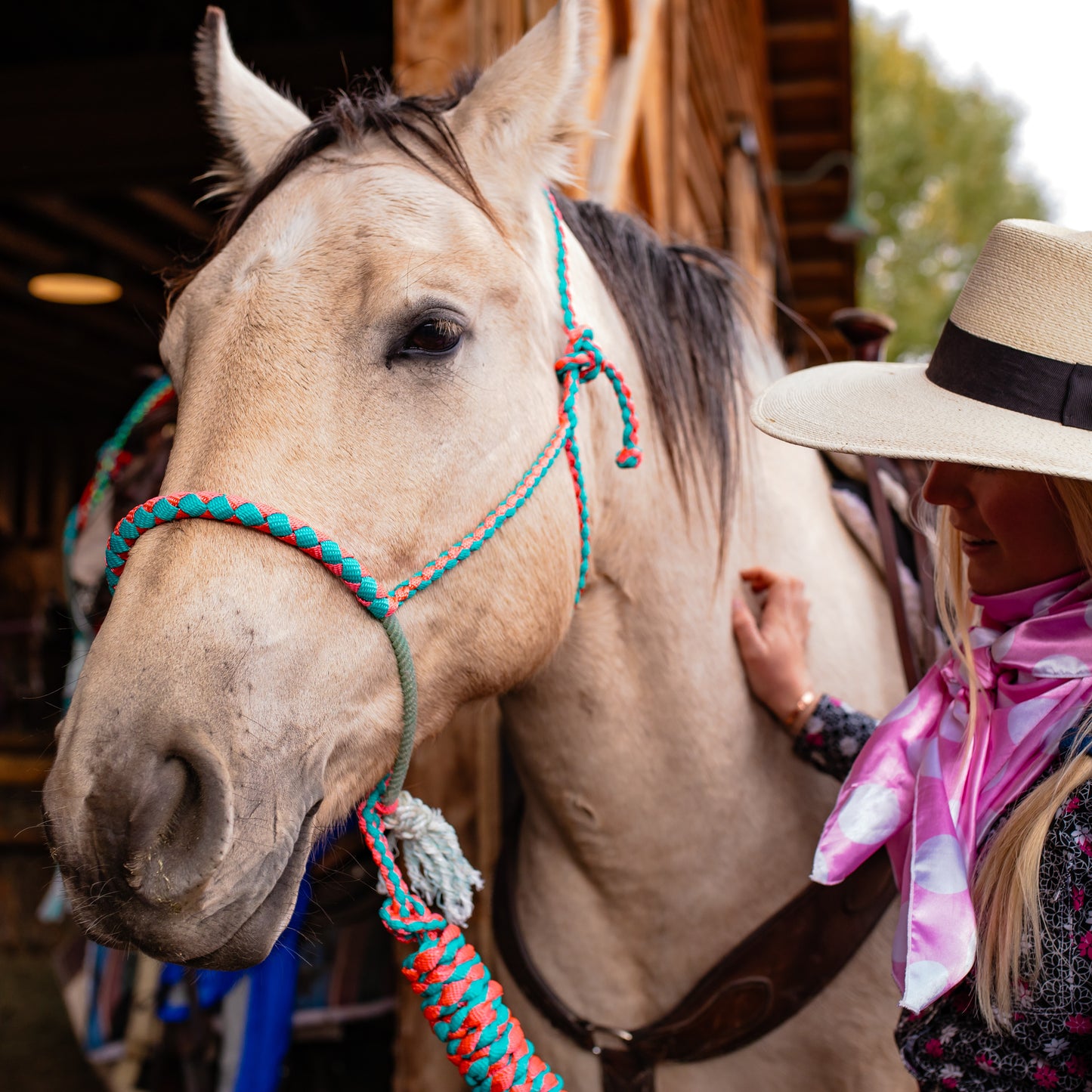 Lariat Noseband Halter