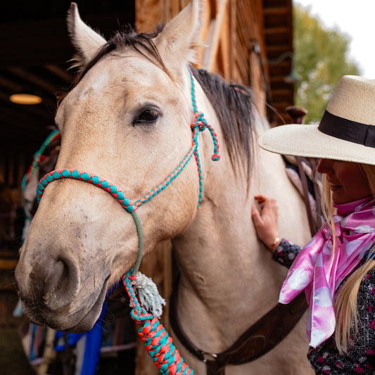 Lariat Noseband Halter