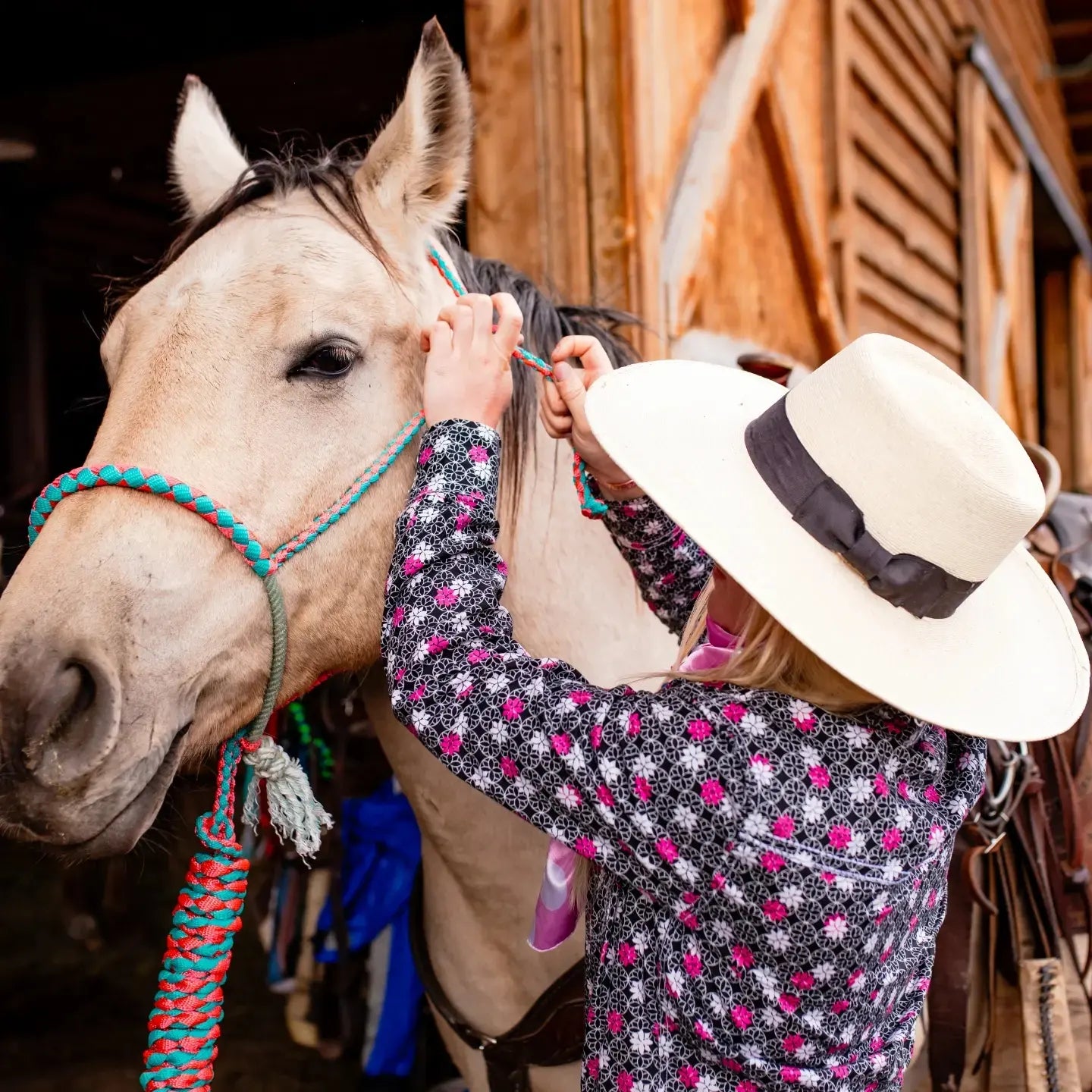 Lariat Noseband Halter