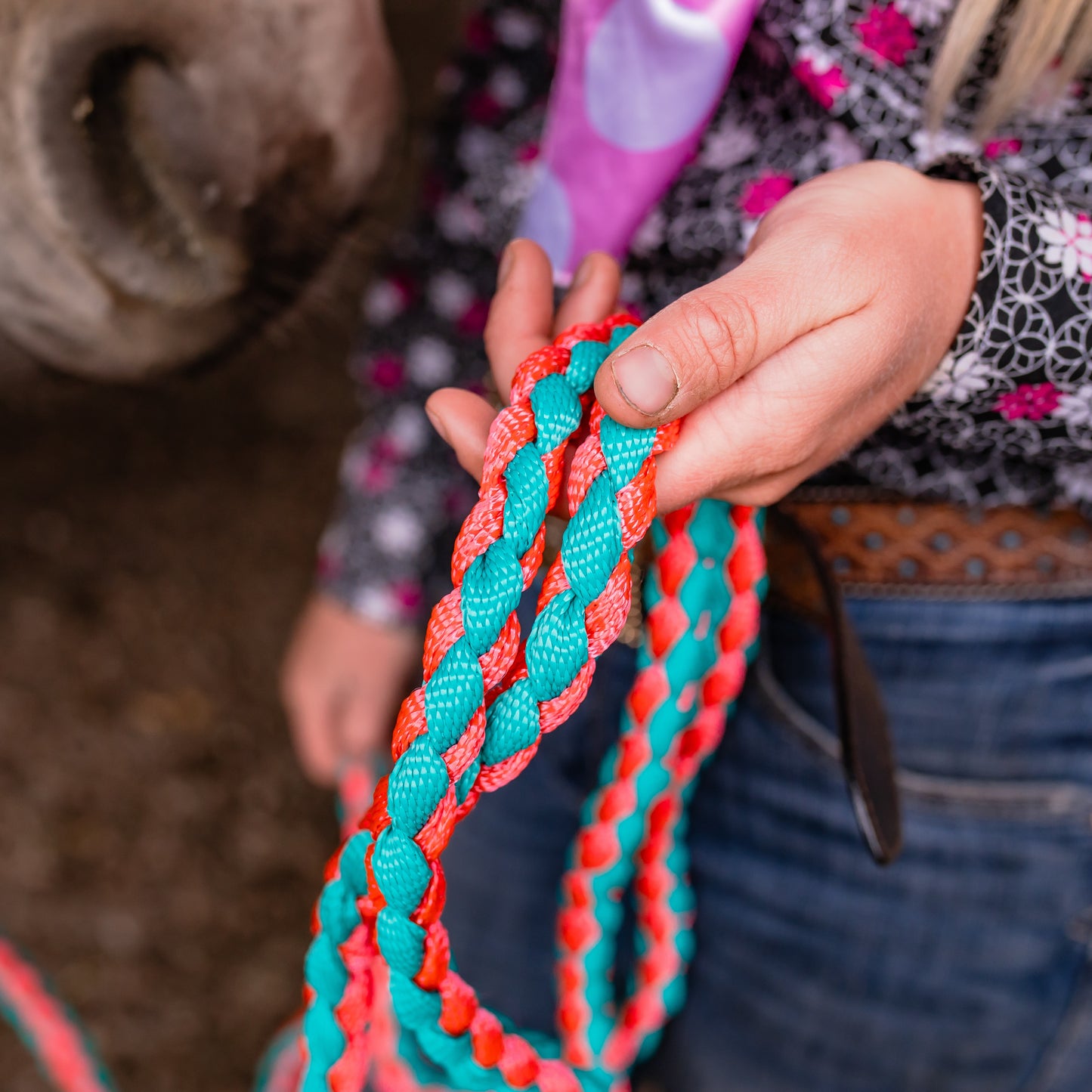 Lariat Noseband Halter