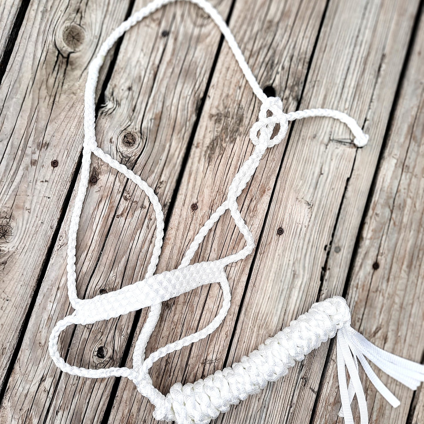 Muletape Halter