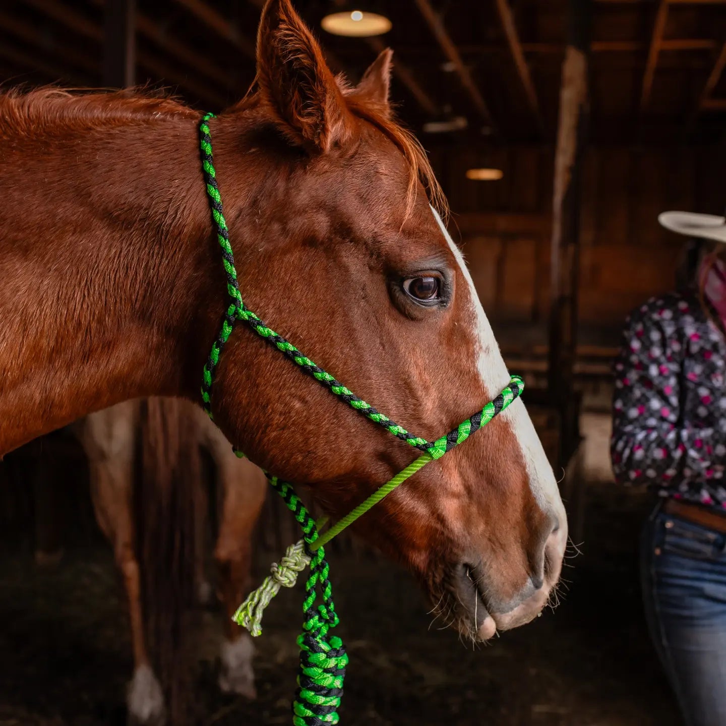 Lariat Noseband Halter